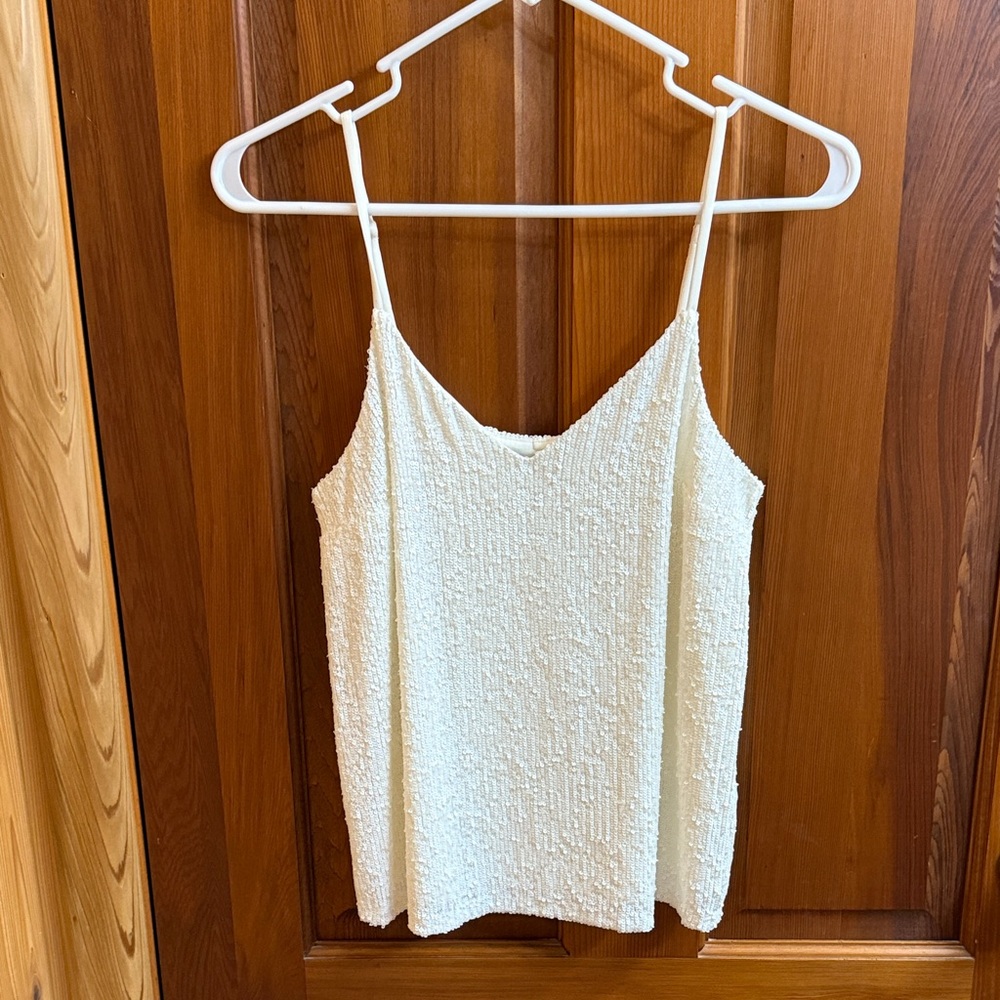 EUC Express sequin camisole